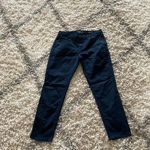 Banana Republic blue travel pants